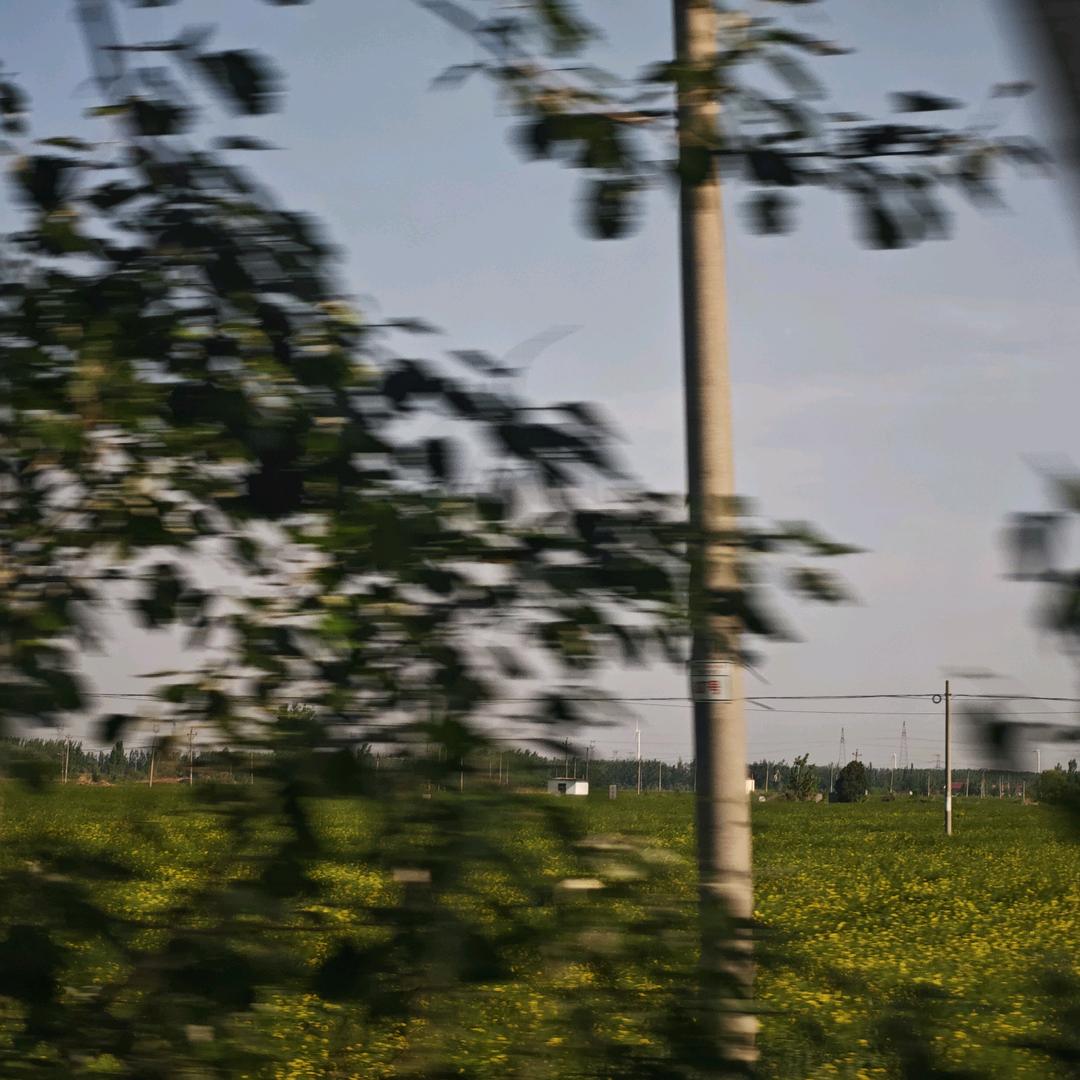 布塔