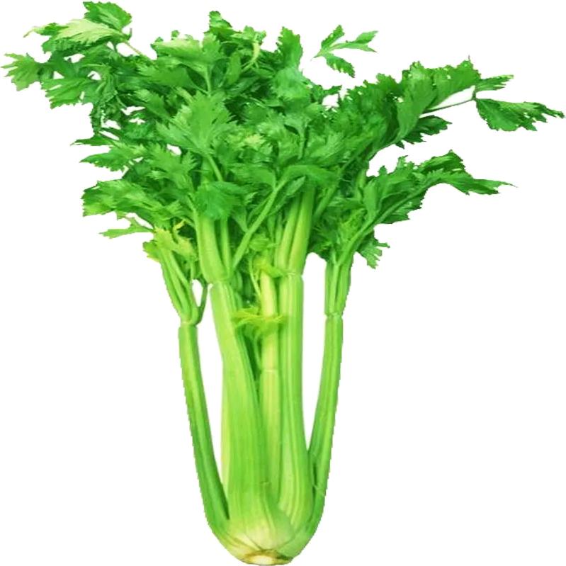 芹菜榨汁喝-