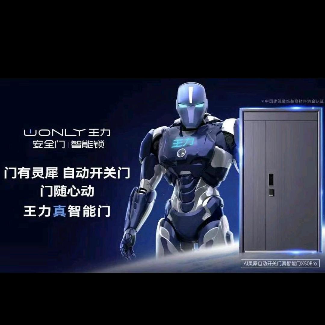 宜宾市江安县王力安全门