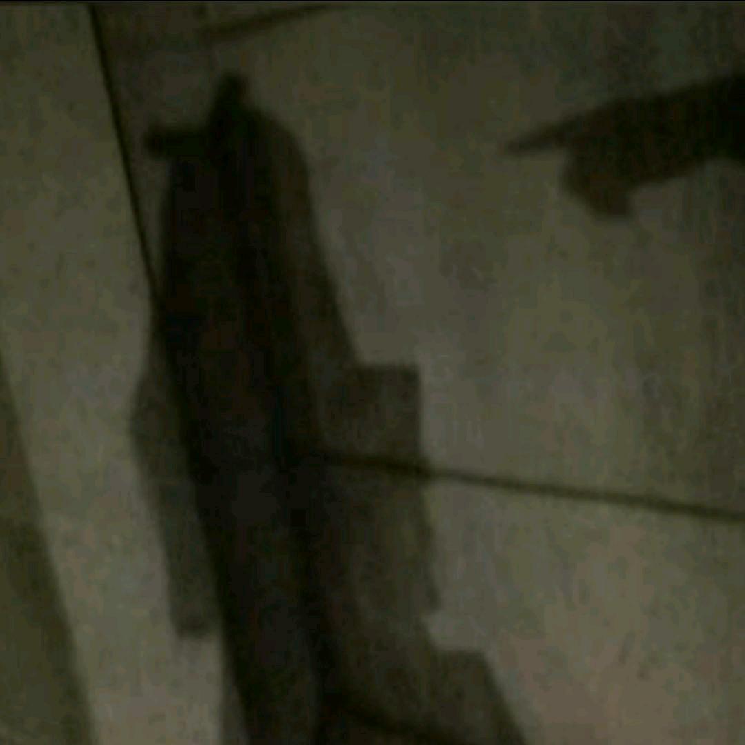 铁蛋是mm