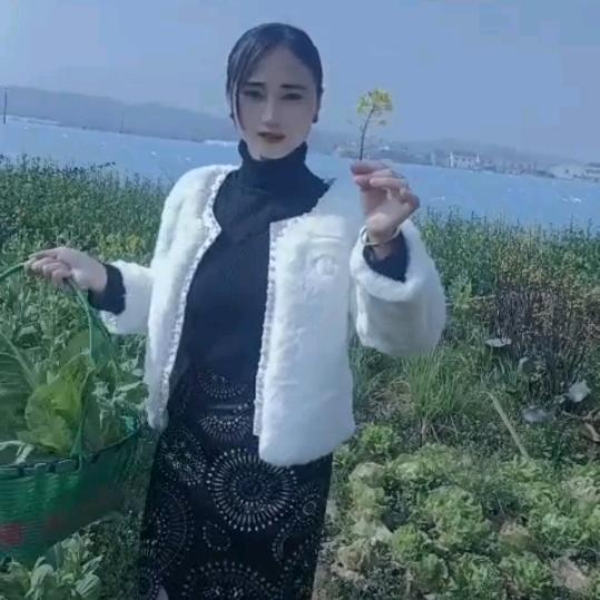 秀秀