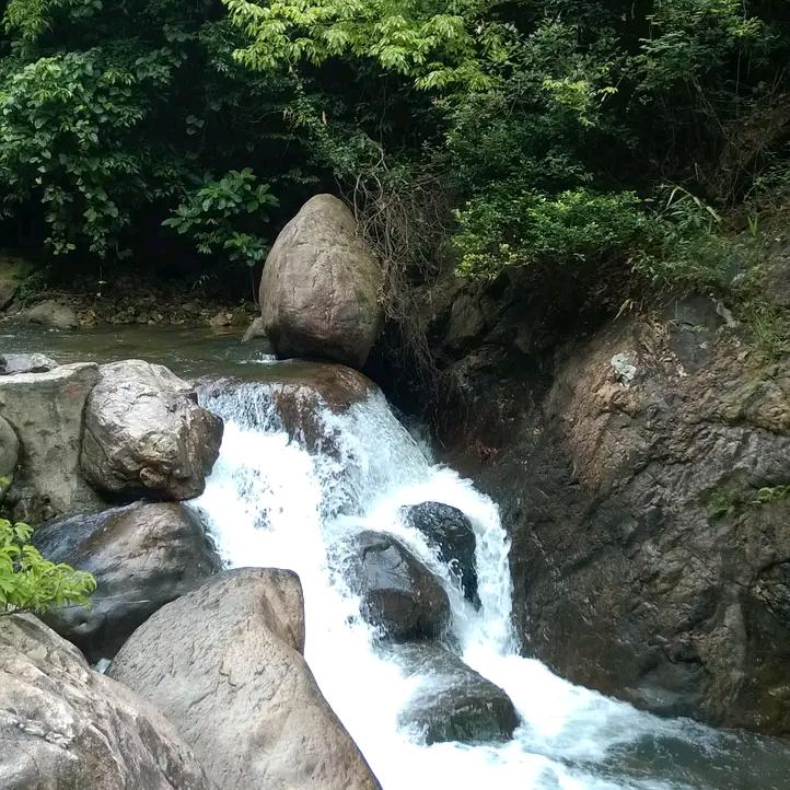 大棒棒