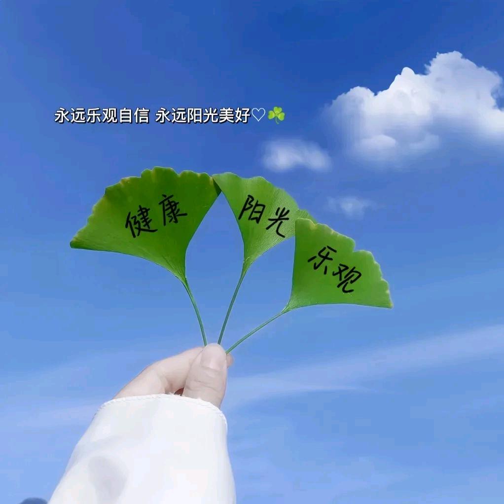 り流年是写布完旳忧伤╮😌