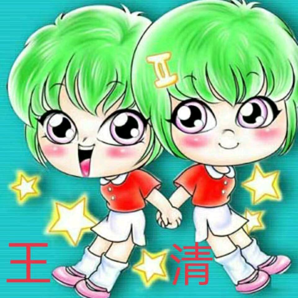 王公子