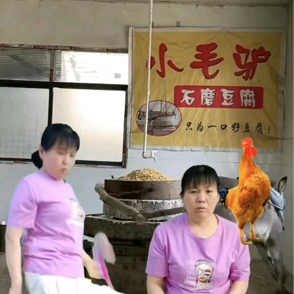 大风(不定时开播)