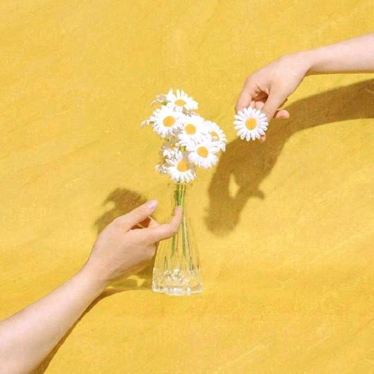 @啊城