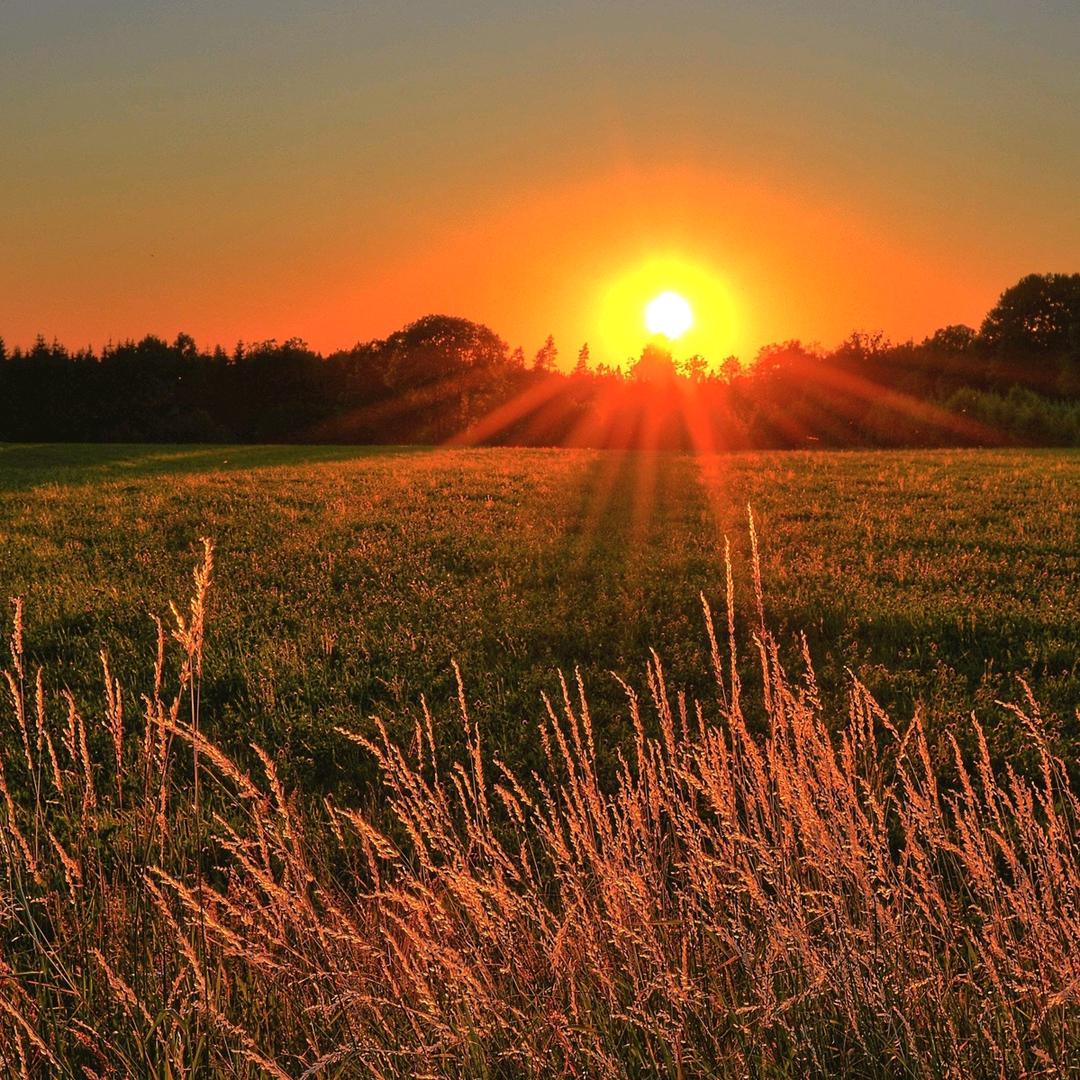 凤如（记录生活）