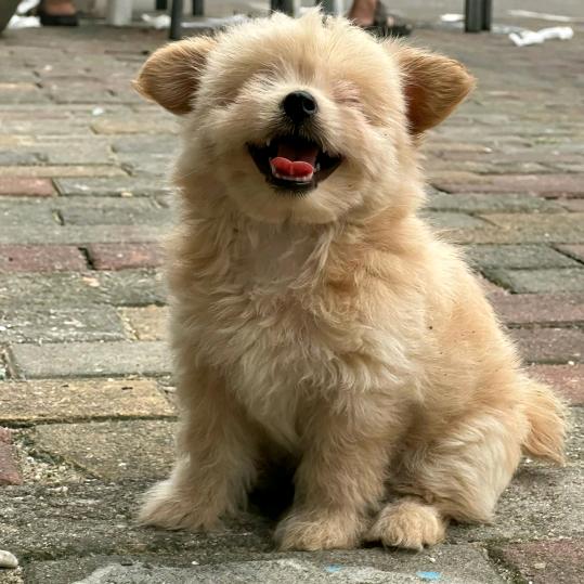 哈哈哈哈哈哈哈～