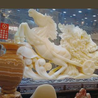 与你同行
