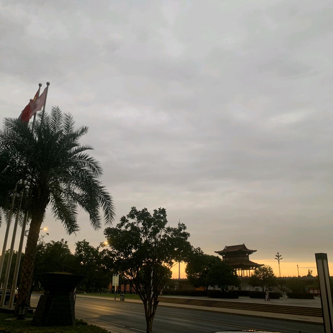 张冬冬