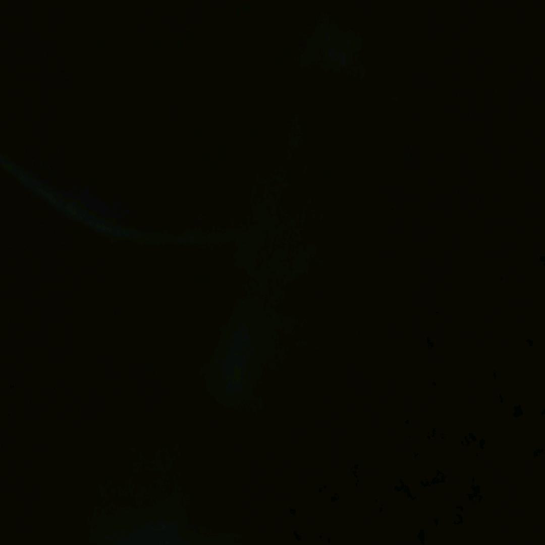 尘缘结神