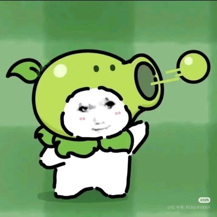 槐夏