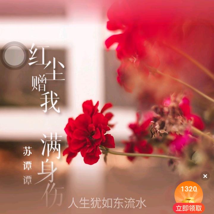玫瑰🌹的爱