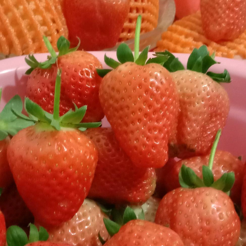 萌？我在装！补是你想那个萌。