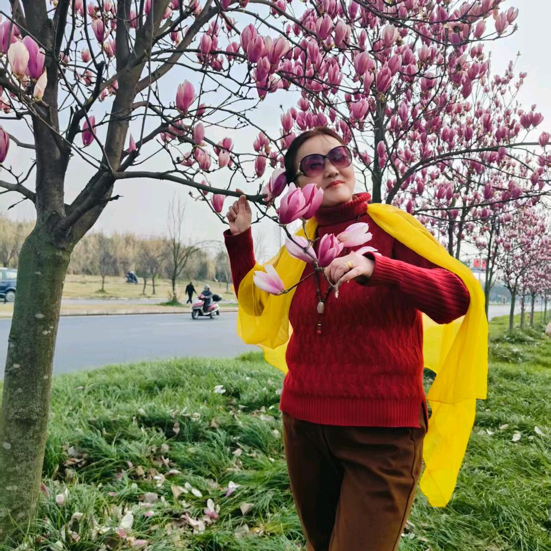 ，白仙草