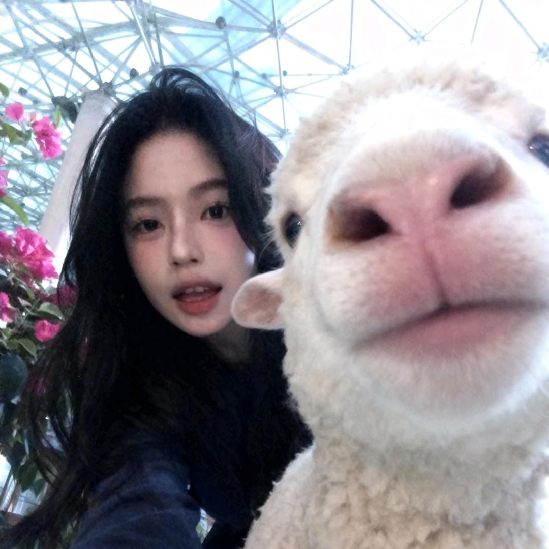 李  李  🌙