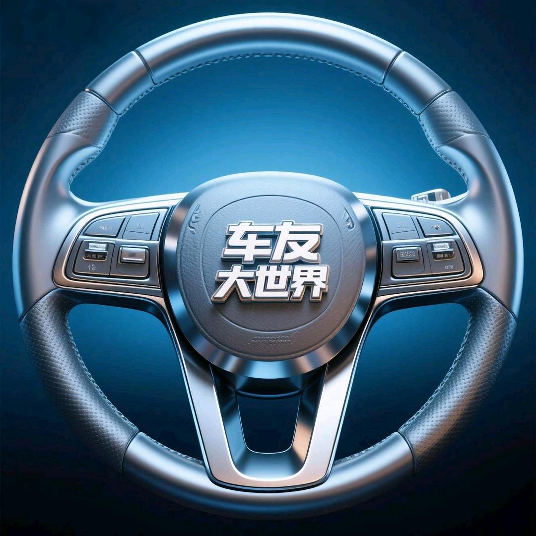 车友大世界