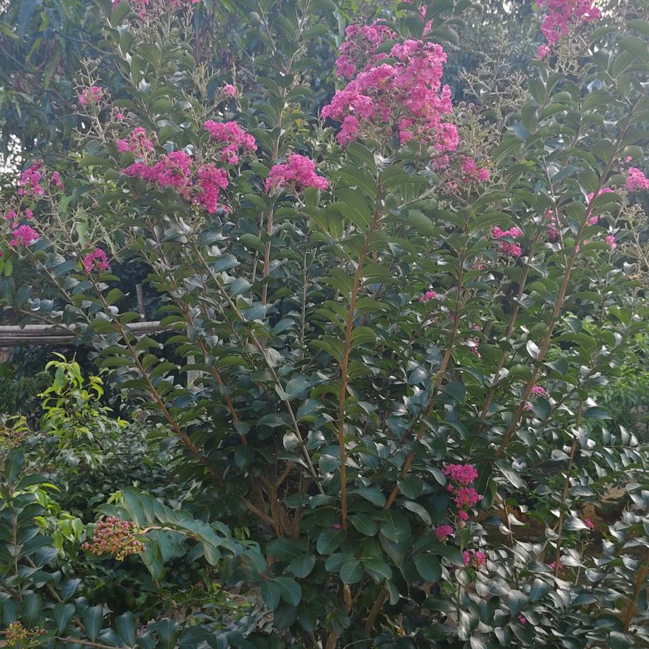萍水相逢