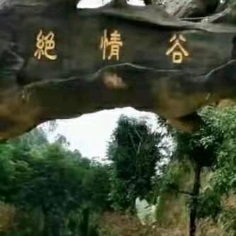 工地金哥