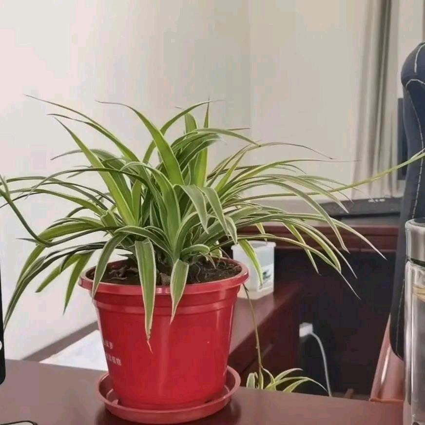 心中有暖