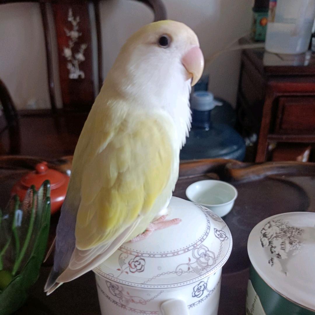 ^^郑文文^^