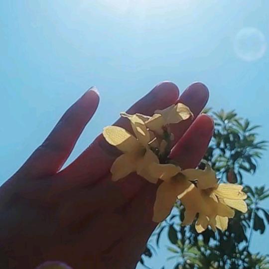 梅🌸