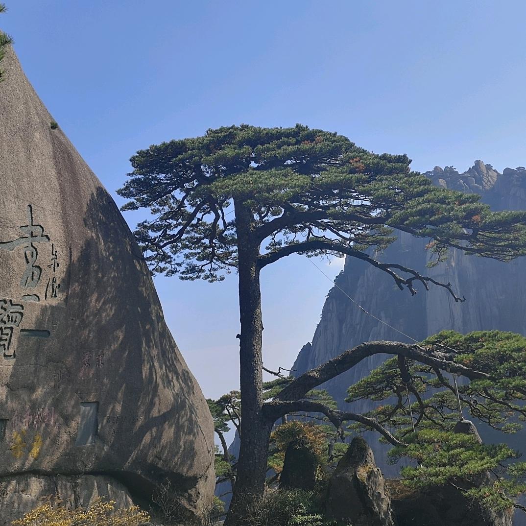 三好同志