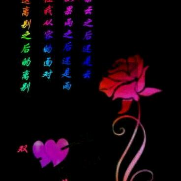 消失的承诺