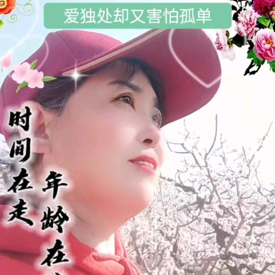 金色盾牌：