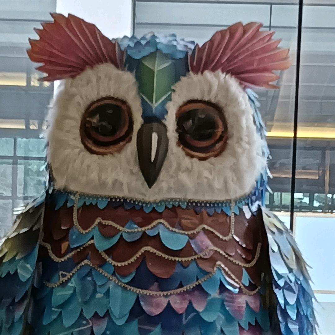 随缘吧