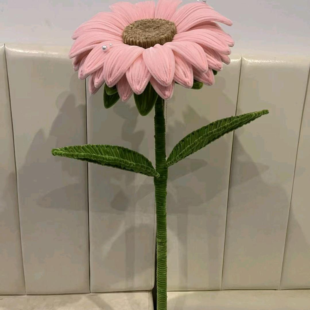 御足堂（不定时开播）