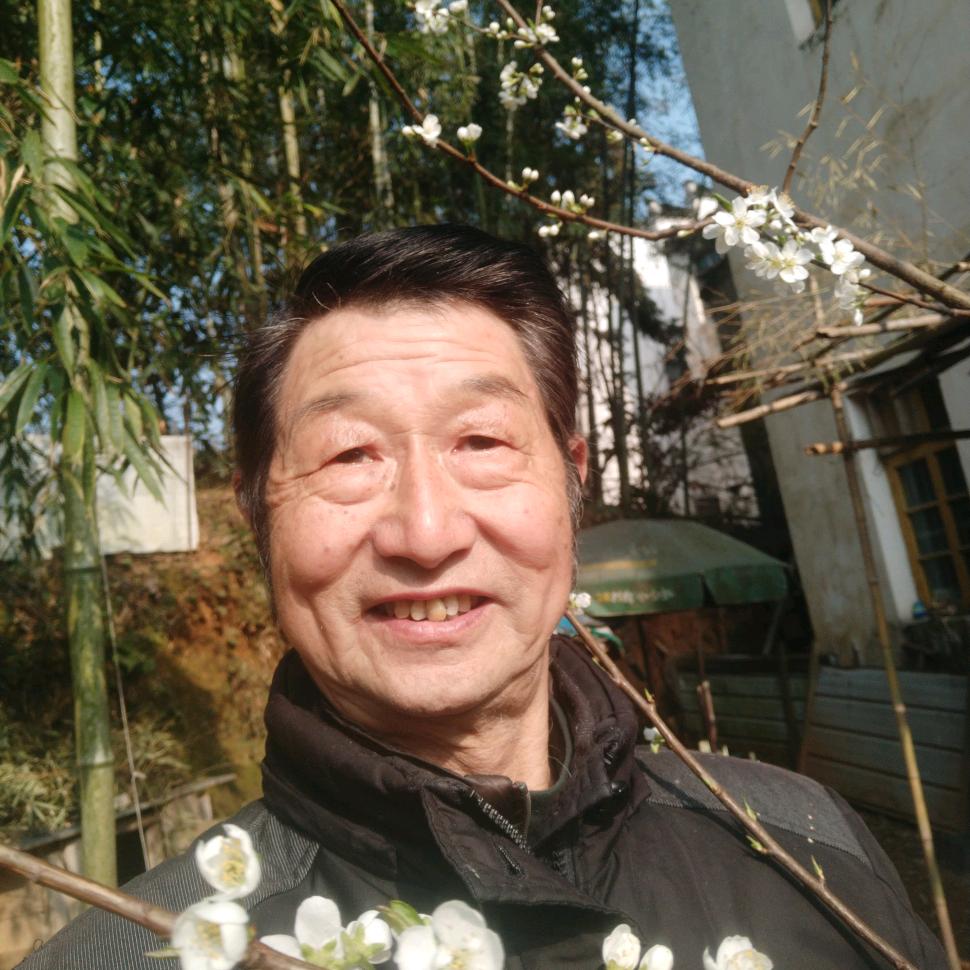 京味琴音