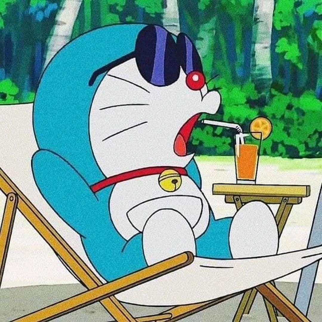 苏苏来了