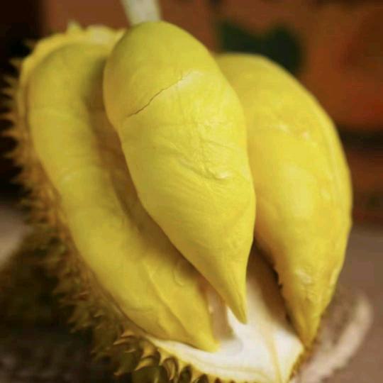 🕊꧔ꦿ᭄微笑💞前行꧔ꦿ᭄