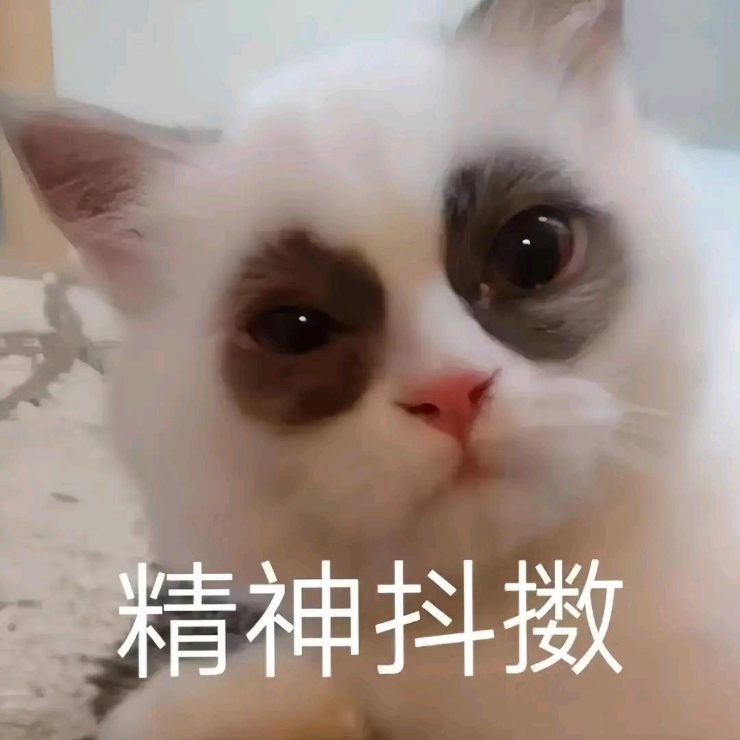胡涂世界