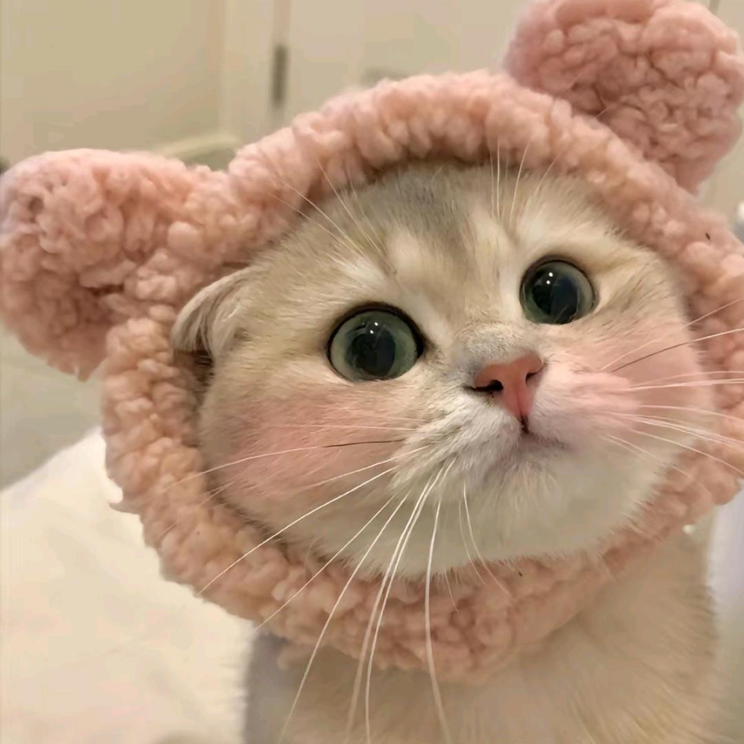 ７^