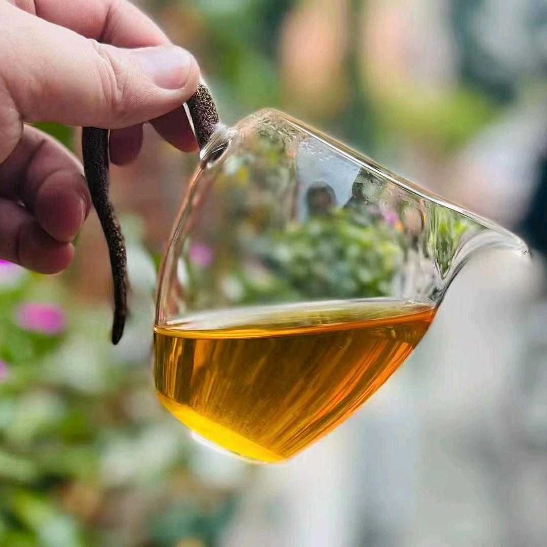 A普洱茶老茶铺子