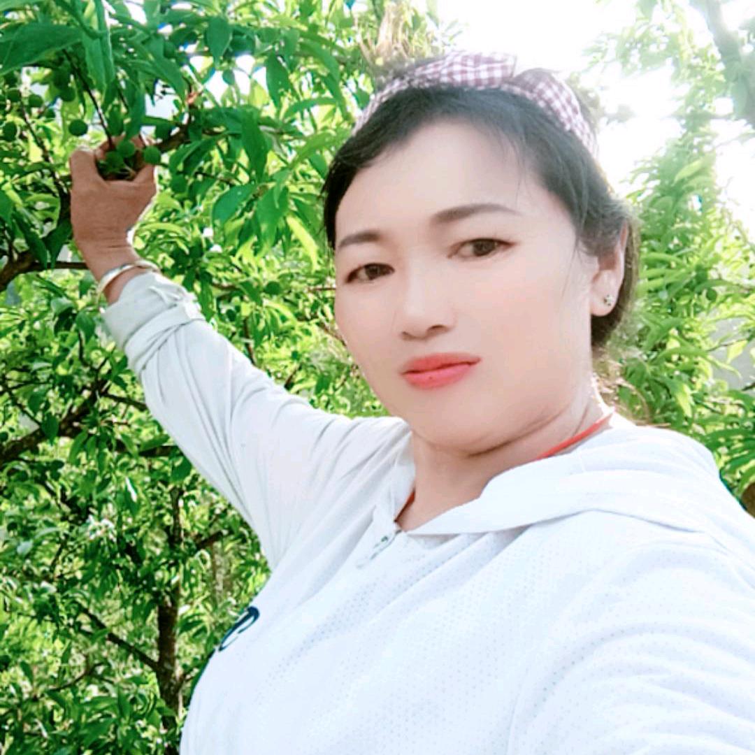 陪你春夏秋冬