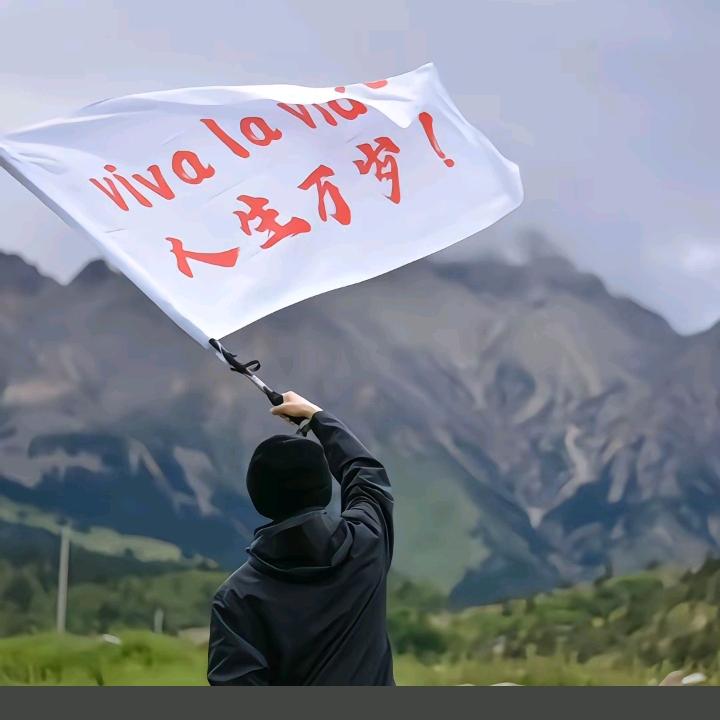 踏遍提瓦特的月铭(原神)