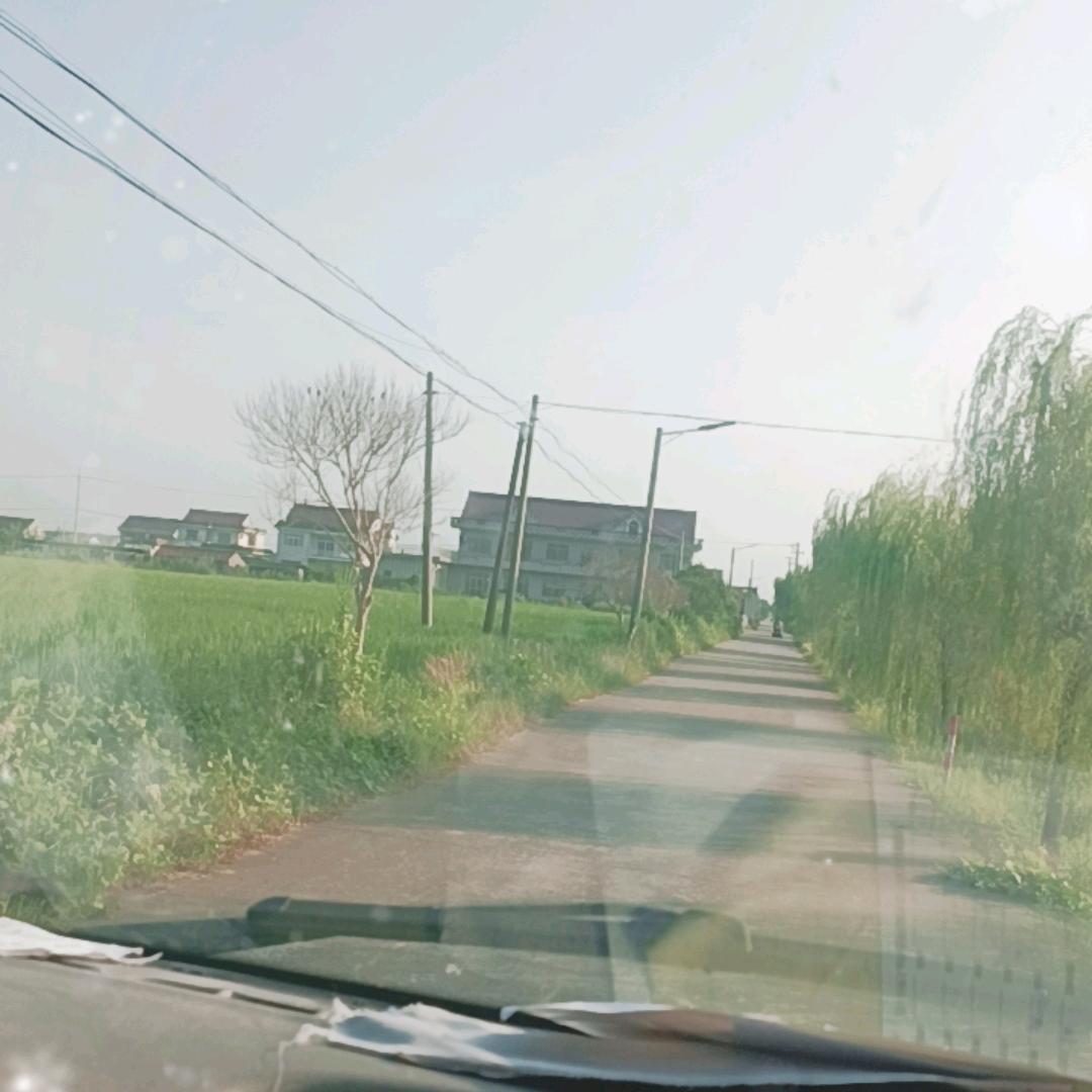 甜蜜蜜