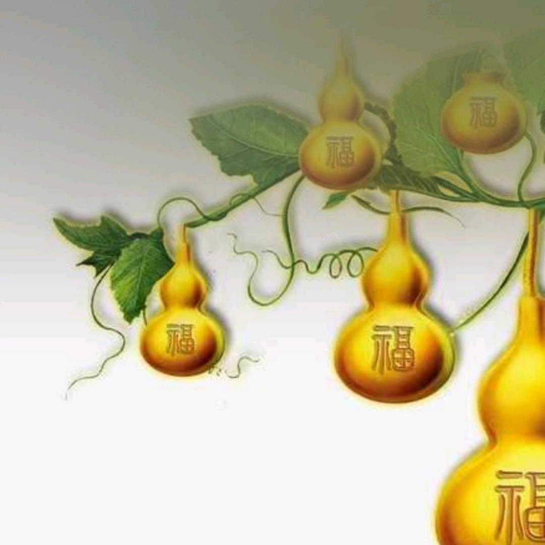 潇洒👄
