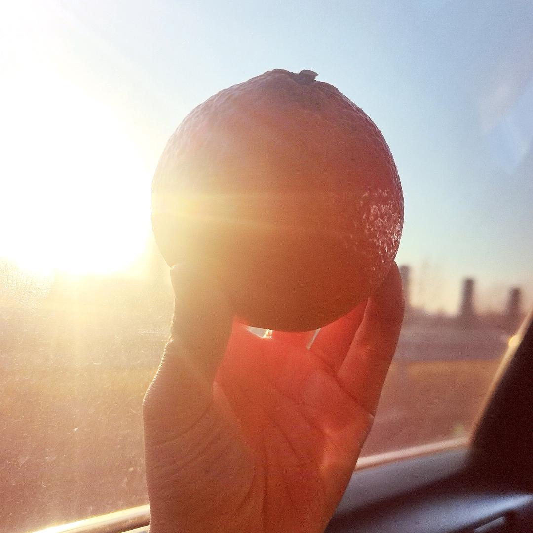♛ ☀羽☀ ♛