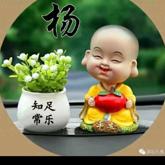 杨大哥