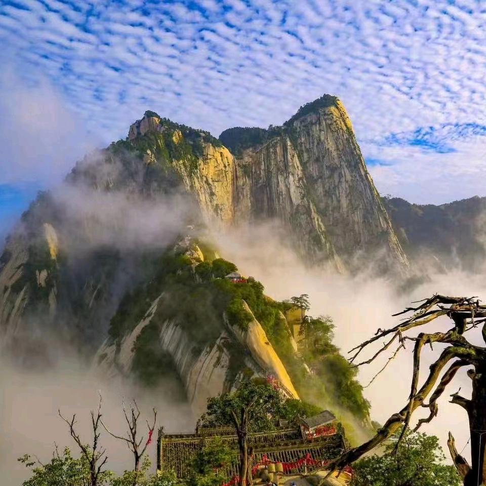 华山导游小徐