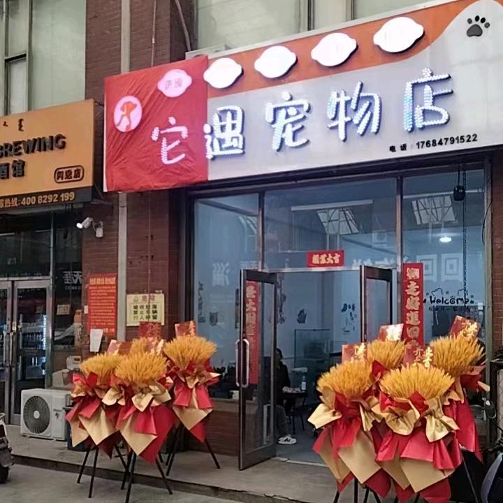 它遇宠物店