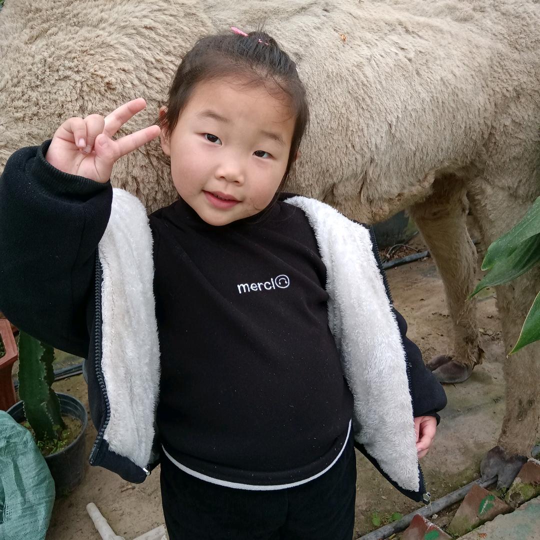 周龙晴诺