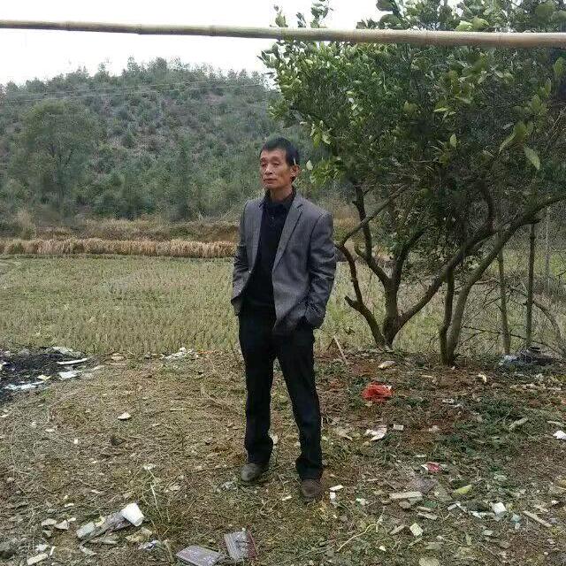 金子