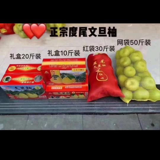 真真假假