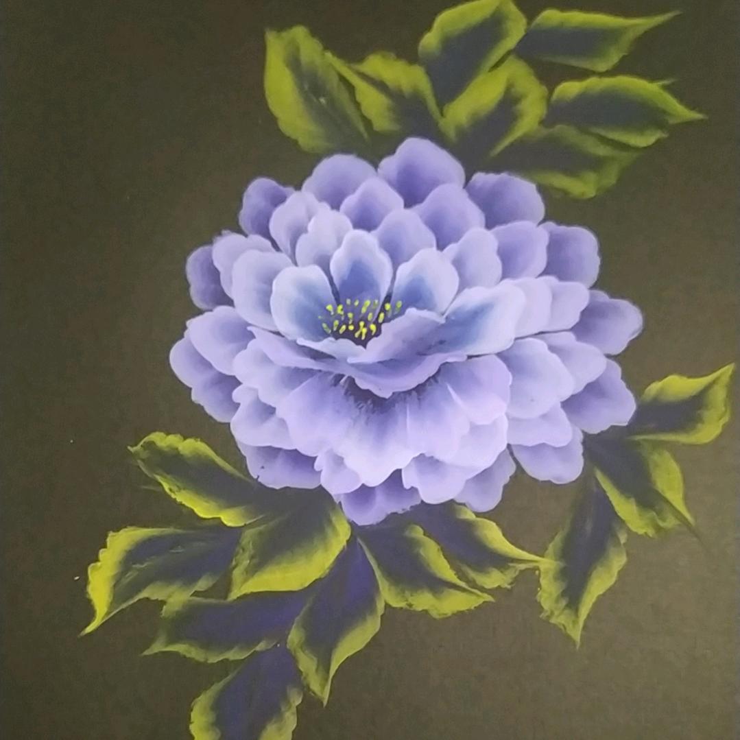 田二妹1助力号（首播早6.10）