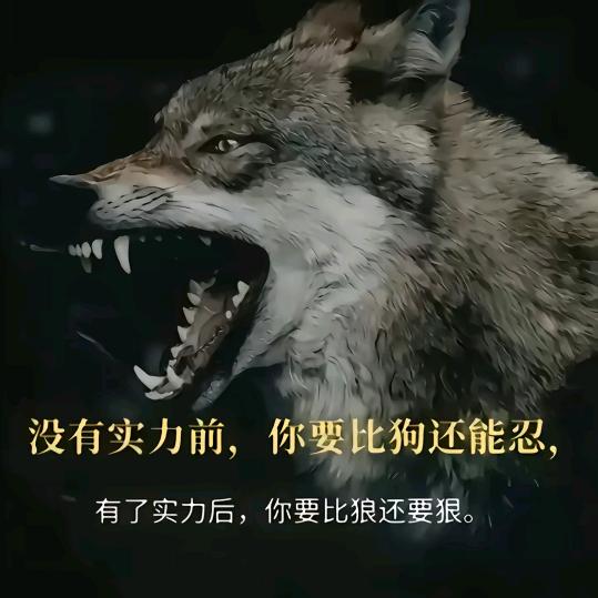 人不狠，战不稳🤟🤟